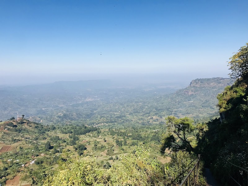 Majestic Retreat in Budadiri: Elgon Tours - Elgon Tours - Budadiri