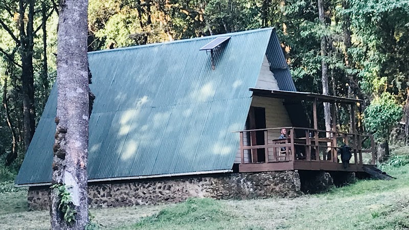 Majestic Retreat in Budadiri: Elgon Tours - Elgon Tours - Budadiri