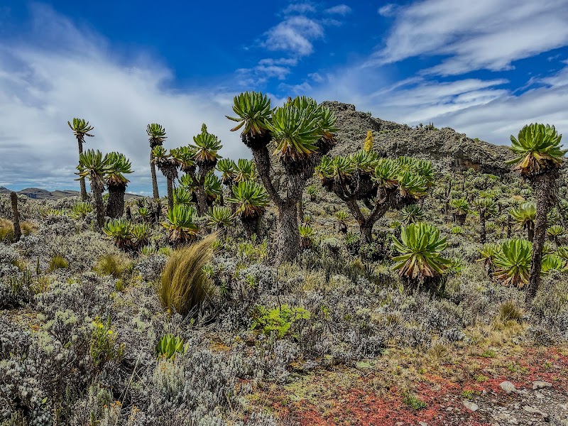 Mount Elgon Trekkers: A Ugandan Highland Adventure - Mount Elgon Trekkers