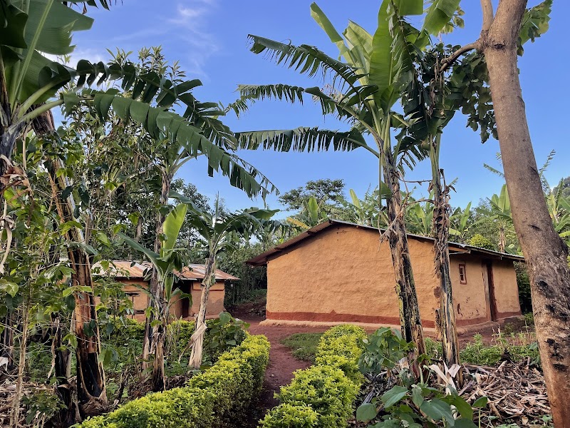 Mount Elgon Trekkers: A Ugandan Highland Adventure - Mount Elgon Trekkers