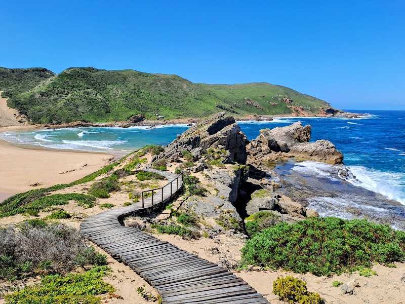 Discover the Majestic Robberg Nature Reserve - Robberg Nature Reserve
