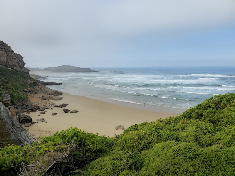 Discover the Majestic Robberg Nature Reserve - Robberg Nature Reserve
