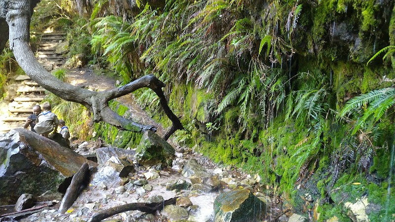 Waterfall Wonders at Cecilia, Table Mountain - Cecilia, Table Mountain