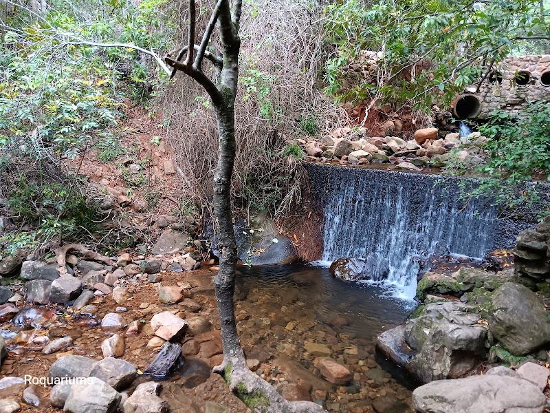 Tranquil Escapes in Newlands Forest, Cape Town - Newlands Forest