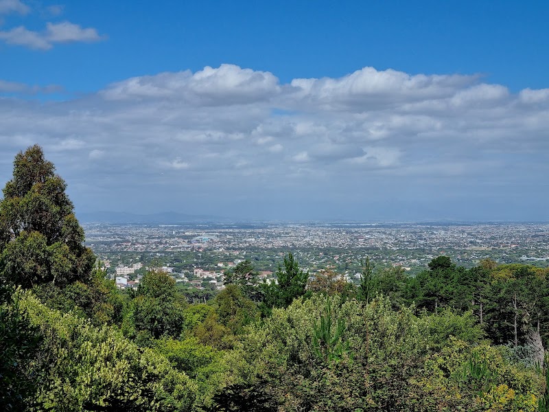 Tranquil Escapes in Newlands Forest, Cape Town - Newlands Forest