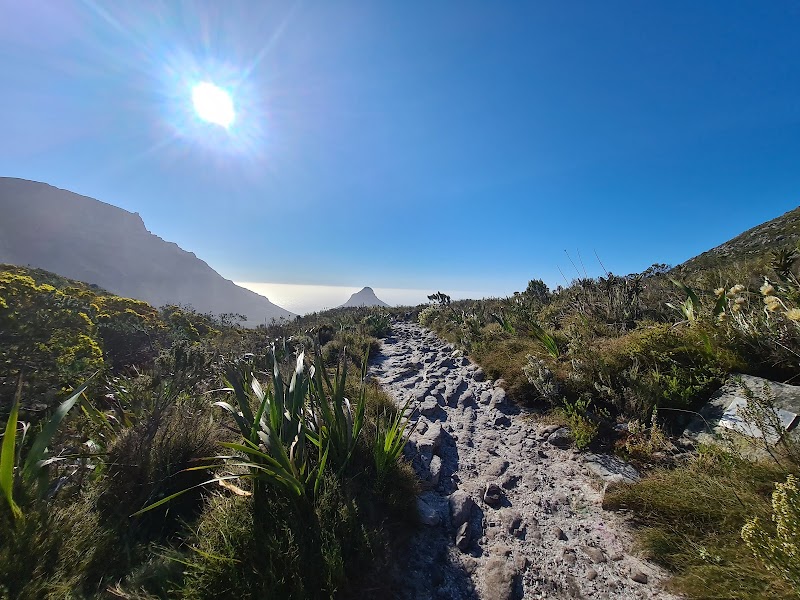 Saddle Rock: Cape Town's Natural Jewel - Saddle Rock