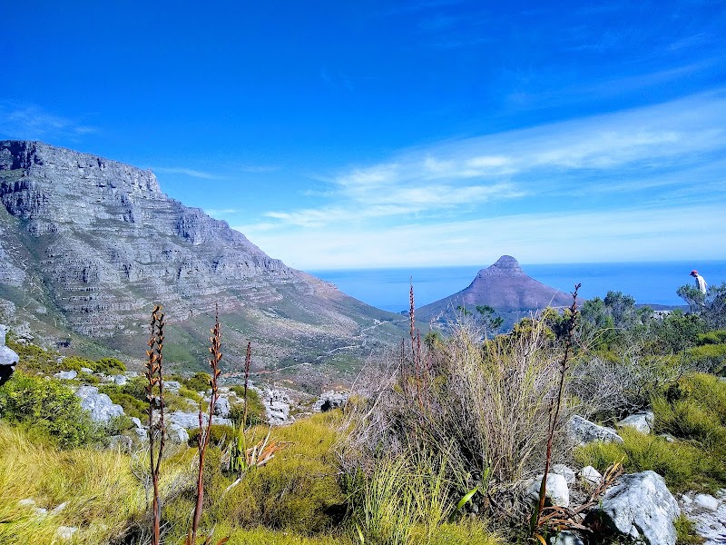 Saddle Rock: Cape Town's Natural Jewel - Saddle Rock