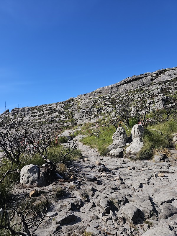 Adventures Await at Lions Head & Table Mountain - Lions Head or Table Mountain HIKE
