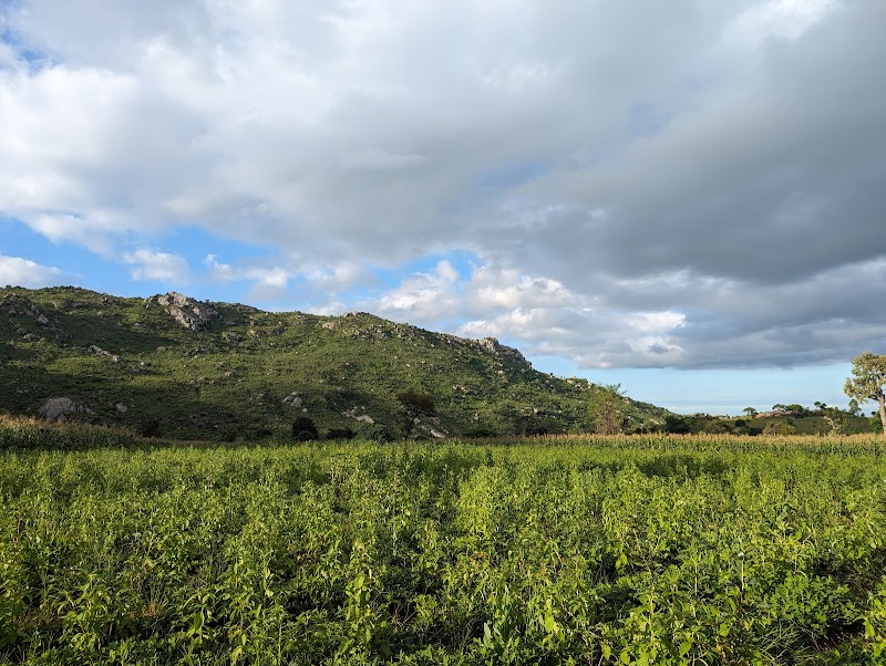 Exploring Nkhoma Mountain: A Natural Gem in Malawi - Nkhoma mountain