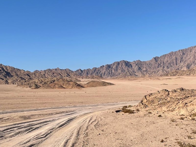 Desert Majesty: The Sinai Peninsula - Sinai Peninsula