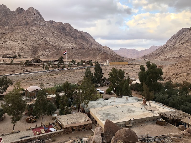 Desert Escapades at Farag Fox Camp - Farag Fox Camp