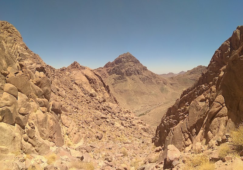 Desert Escapades at Farag Fox Camp - Farag Fox Camp