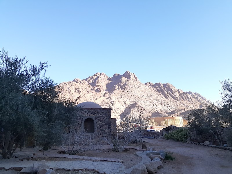Desert Escapades at Farag Fox Camp - Farag Fox Camp