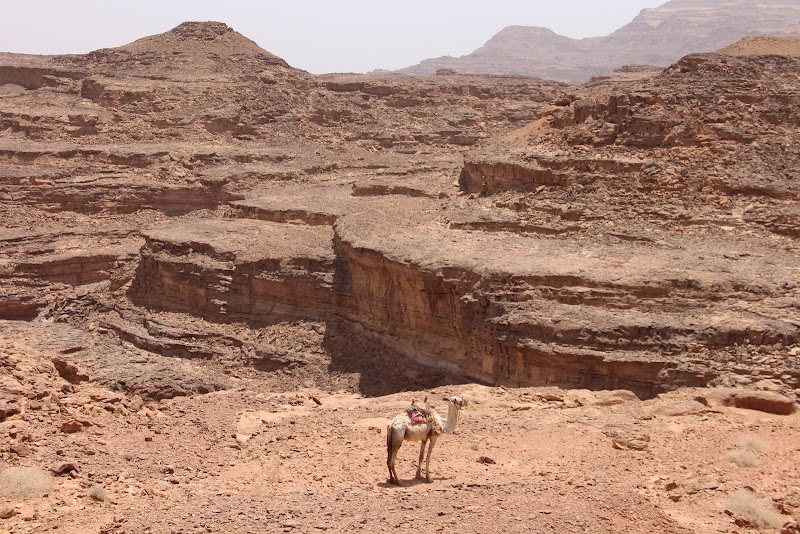 Ancient Wonders at Serabit el-Khadim - Serabit el-Khadim