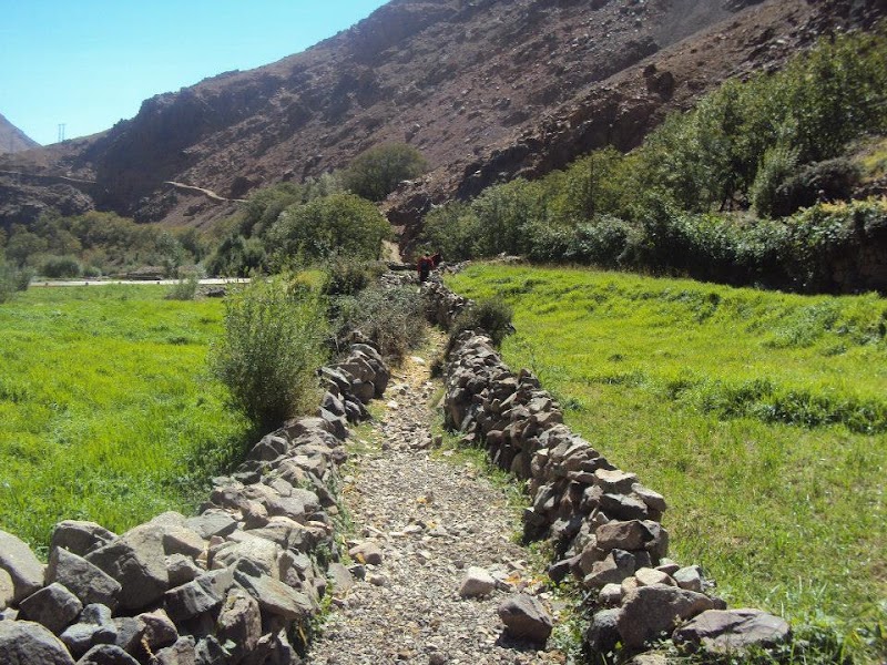 Breathtaking Adventures at Mountain Sahara Treks - Mountain Sahara Treks