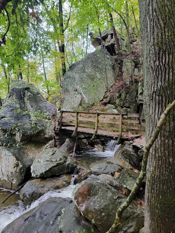 Woodland Retreat at Glen Falls outdoor detail
