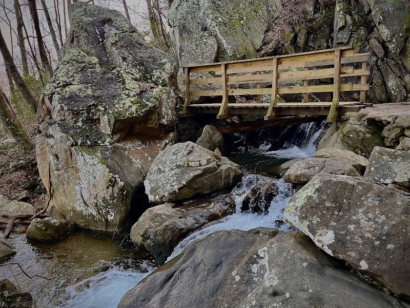 Woodland Retreat at Glen Falls - Glen Falls