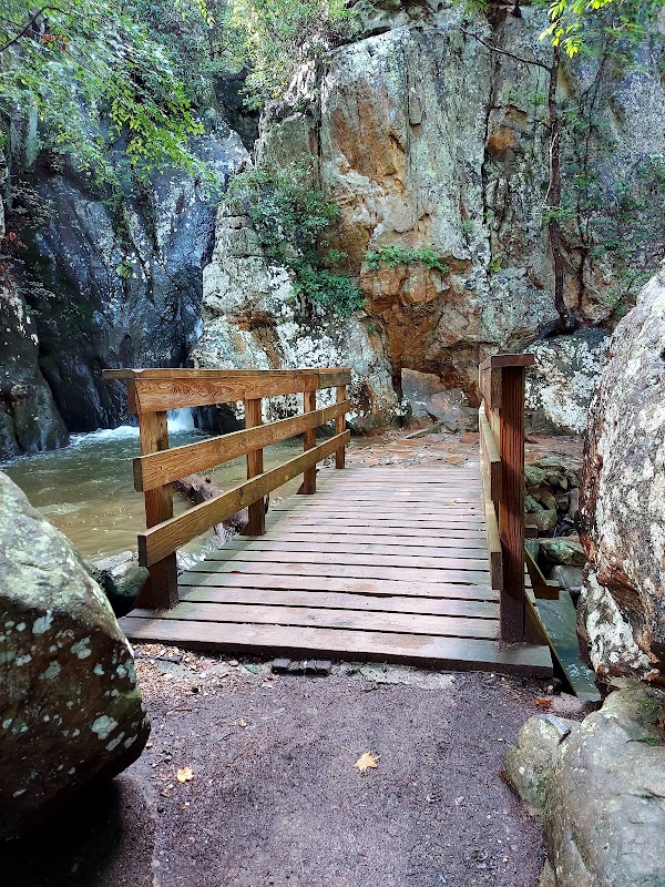 Woodland Retreat at Glen Falls - Glen Falls