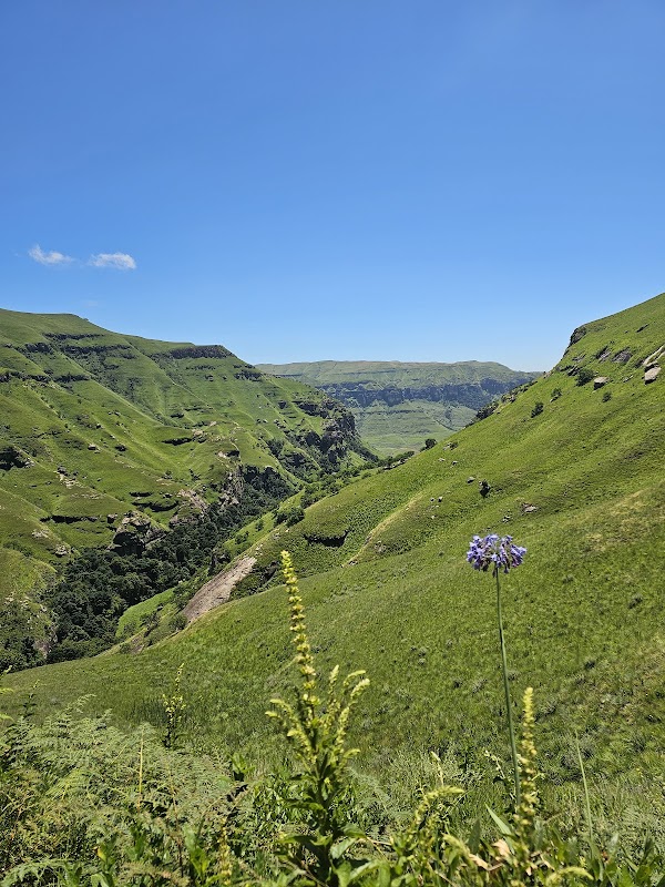 Discover the Hidden Gem of Injisuthi - Injisuthi