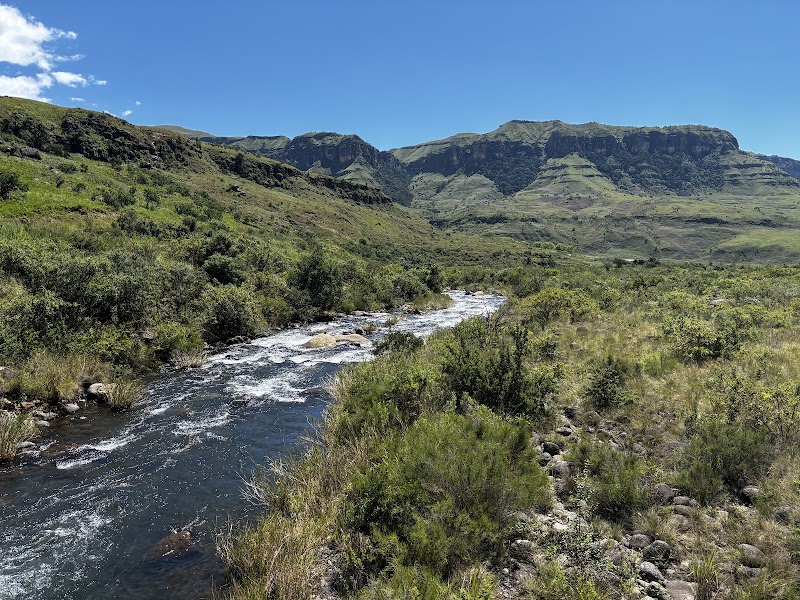Discover the Hidden Gem of Injisuthi - Injisuthi