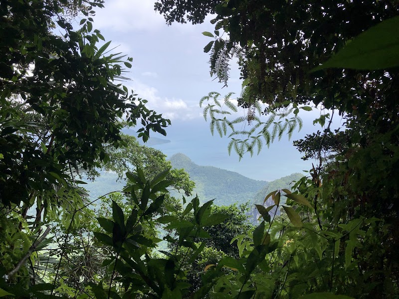 Majestic Peaks of Pico Papagaio - Pico Papagaio