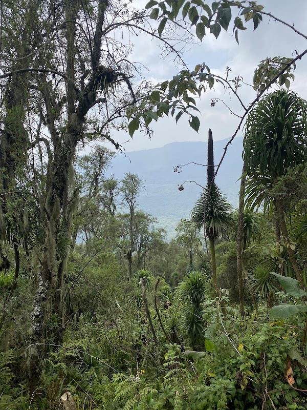 Bisoke Hike: Awe-Inspiring Volcano Adventure - Bisoke Hike Volcanoes National Park
