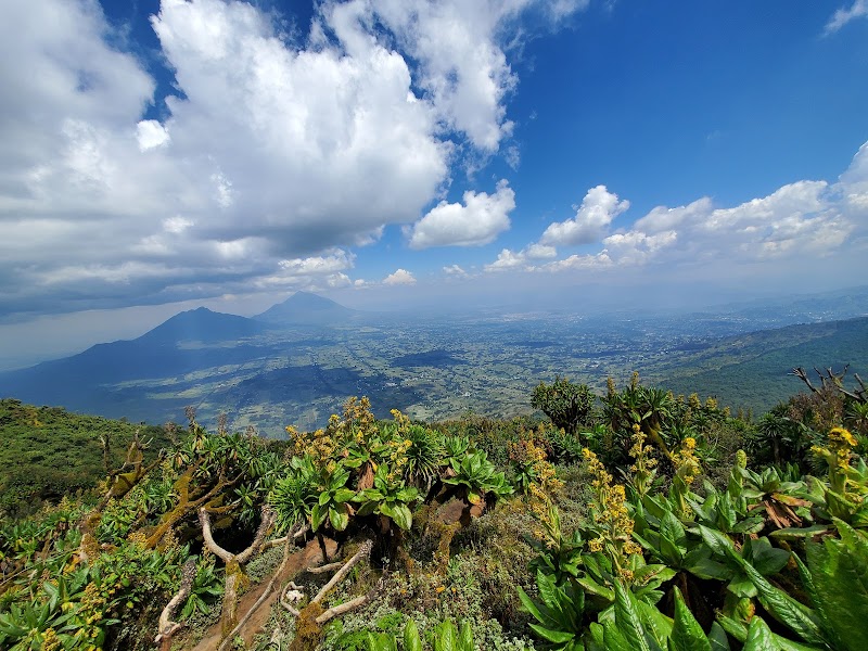 Bisoke Hike: Awe-Inspiring Volcano Adventure - Bisoke Hike Volcanoes National Park