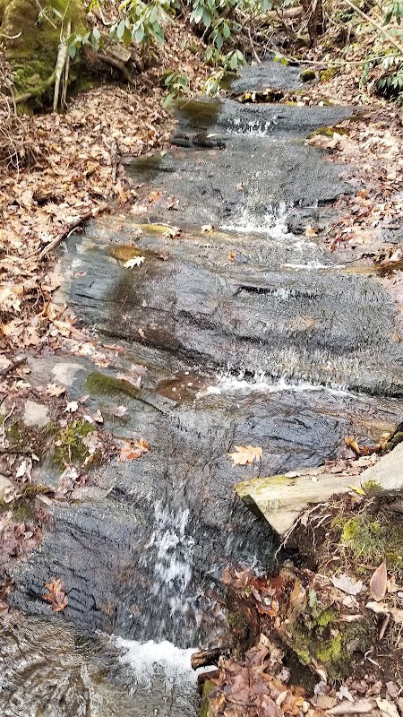 Discover Bracken Preserve outdoor detail