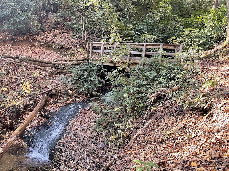 Discover Bracken Preserve - Bracken Preserve