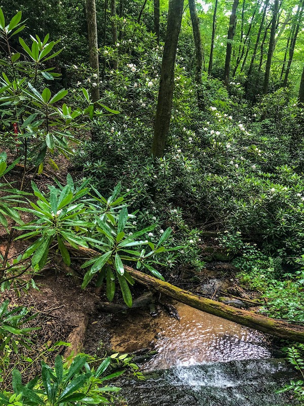 Discover Bracken Preserve - Bracken Preserve