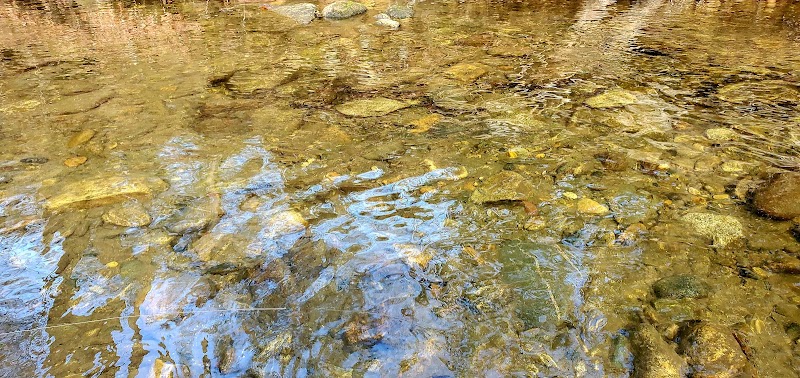 Enchanting Trails of Cove Creek and Daniel Ridge surrounding landscape