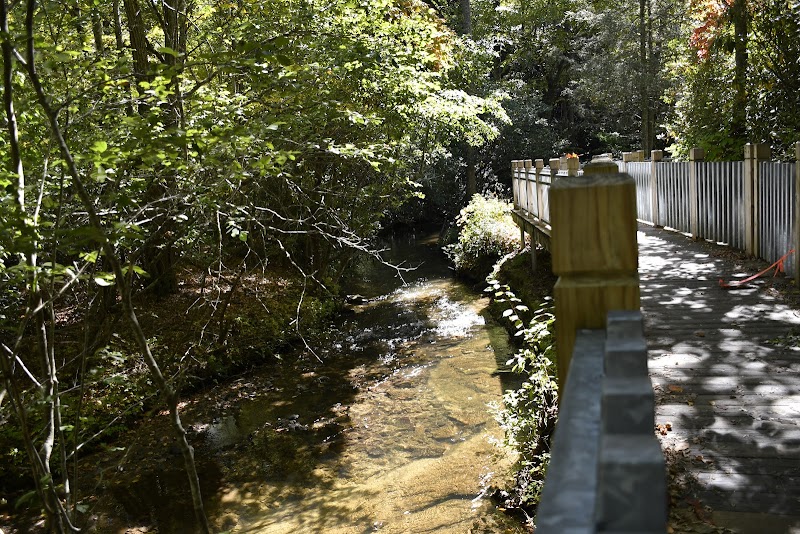 Waterfall Wonders at Connestee Falls, Brevard, NC surrounding landscape