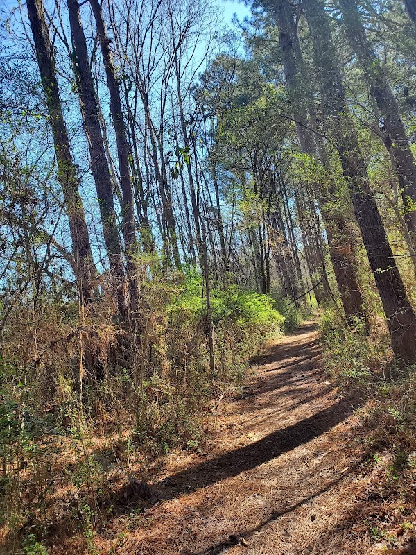 Hiking Adventures at Blue Blazes Trail - Blue Blazes Trail