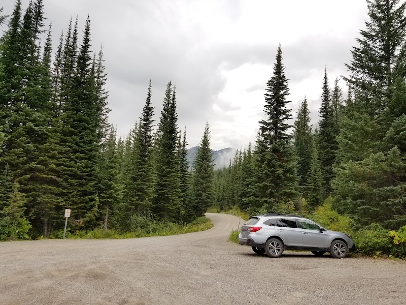 Nature's Retreat: Camp Misery Trailhead surrounding landscape