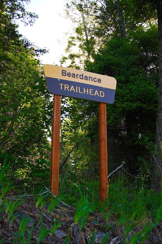 Nature's Canvas at Bear Dance Trailhead surrounding landscape