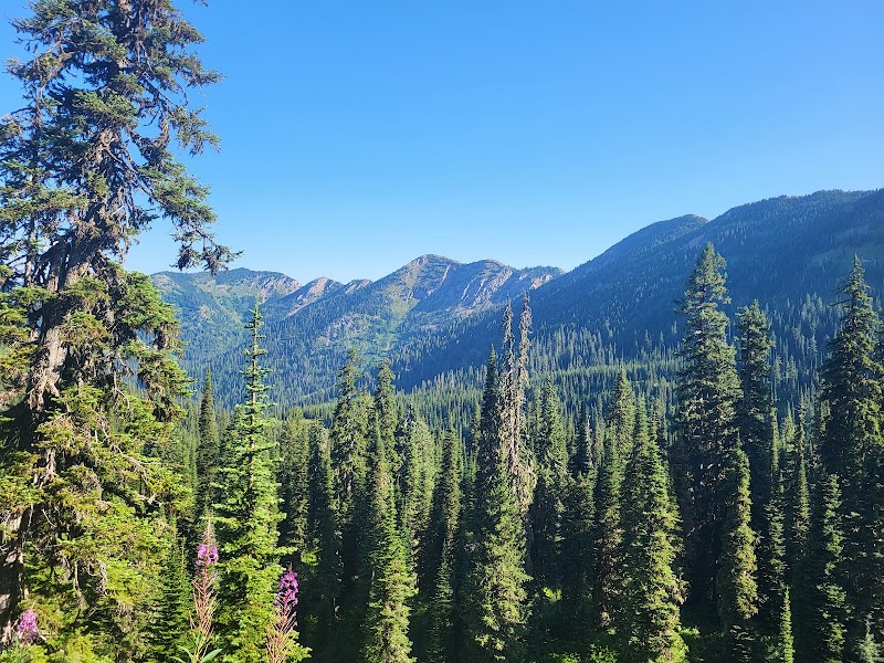 Trekking Through Mount Aeneas Trailhead - Mount Aeneas Trailhead