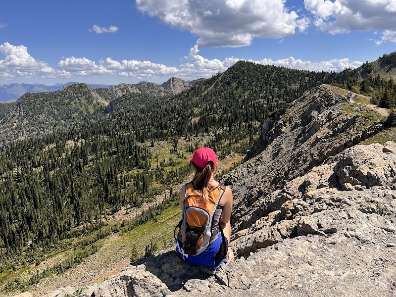 Trekking Through Mount Aeneas Trailhead surrounding landscape