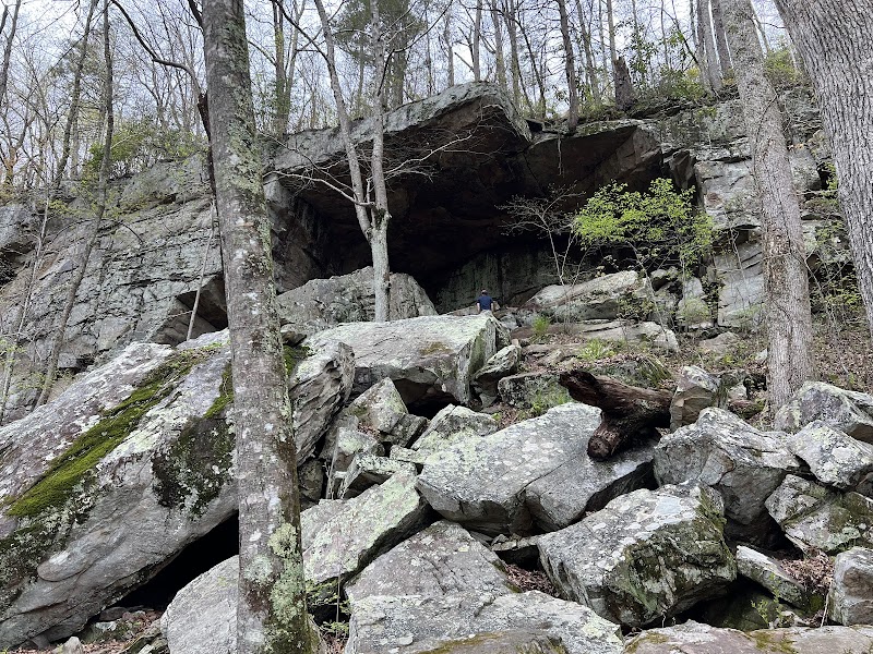 Captivating Views at Julia Falls Overlook surrounding landscape