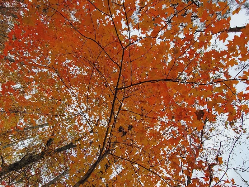 Scenic Overlook at Raccoon Mountain outdoor detail