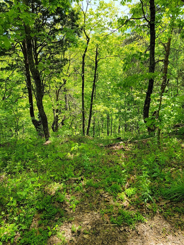 Scenic Overlook at Raccoon Mountain surrounding landscape