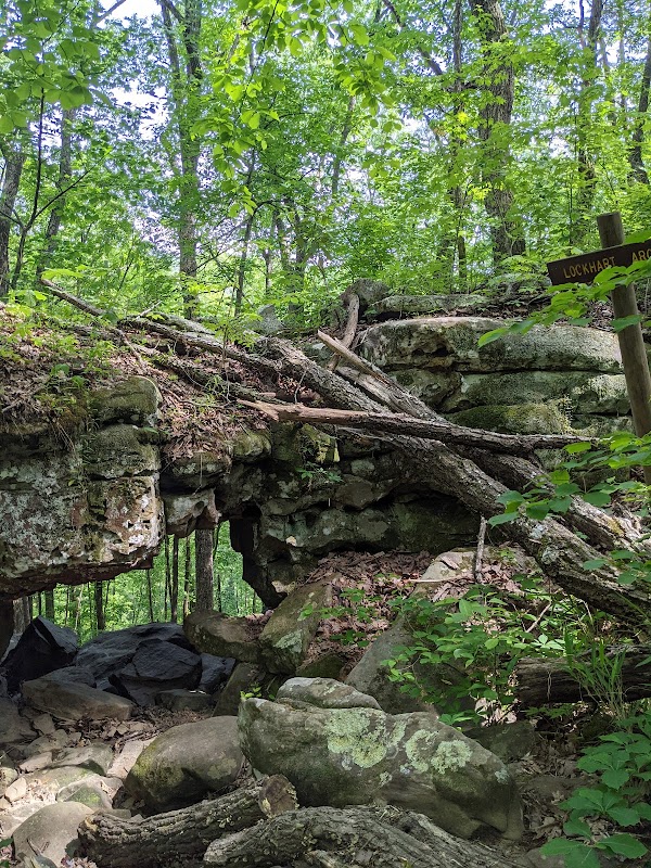 Breathtaking Views: Edward's Point Overlook surrounding landscape