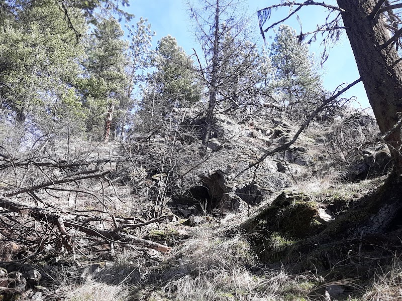 Woodland Trails of Cancourse - Cancourse