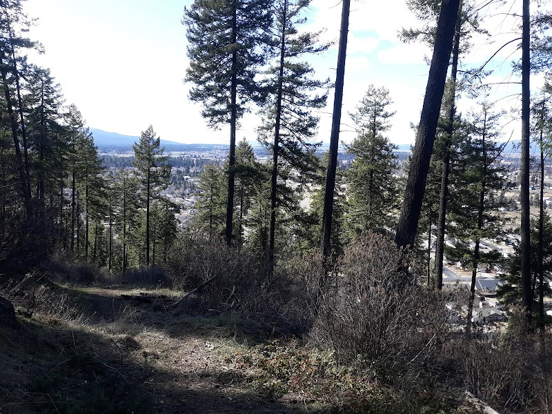 Woodland Trails of Cancourse - Cancourse
