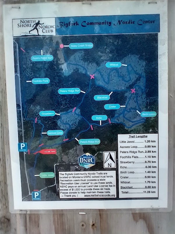 Skiing Adventure at Bigfork Community Nordic Ski Trails surrounding landscape