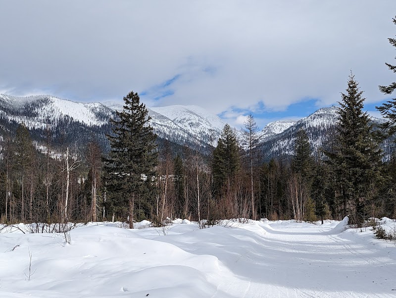 Skiing Adventure at Bigfork Community Nordic Ski Trails - Bigfork Community Nordic Ski Trails