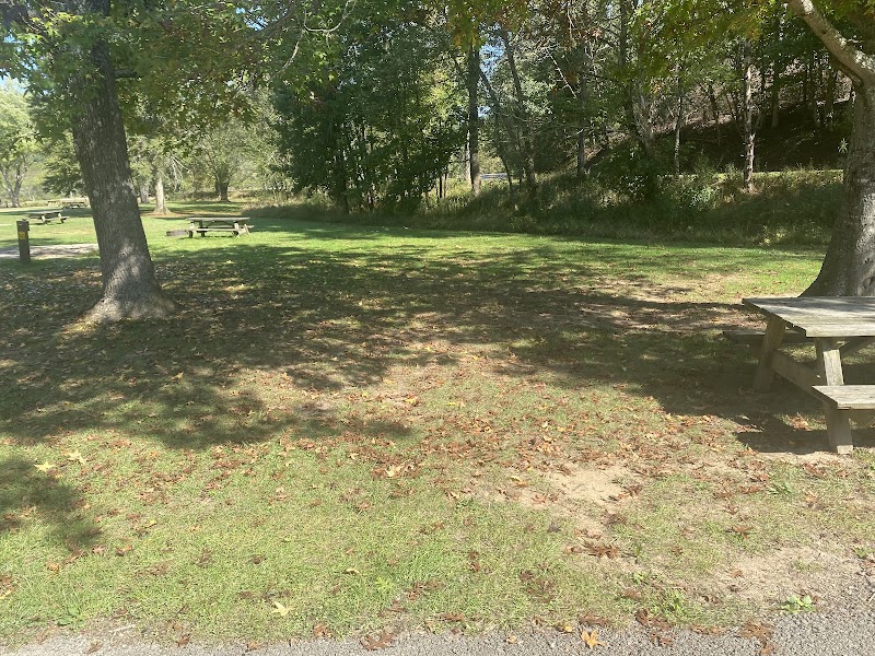 Camping at Beech Fork: A Natural Escape surrounding landscape