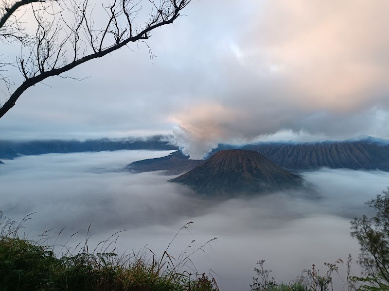 Volcanic Vistas at Mount Bromo - Mount Bromo
