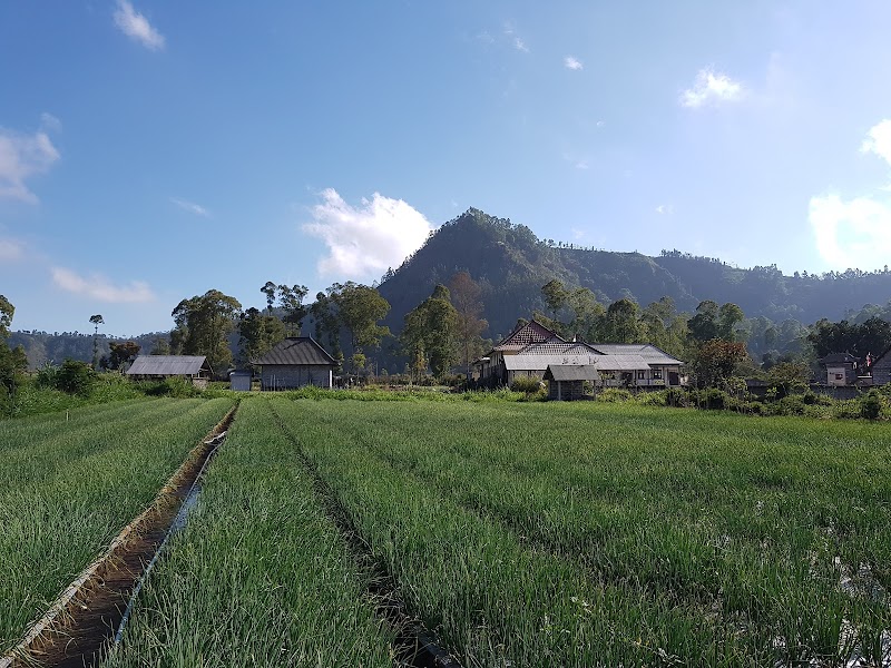 Majestic Mount Batur: Bali's Sunrise Spectacle - Mount Batur Trekking Guide
