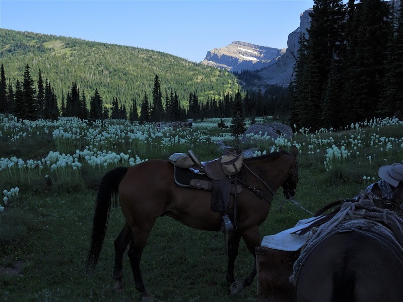 The Majestic Chinese Wall: A Hidden Gem in Montana outdoor detail