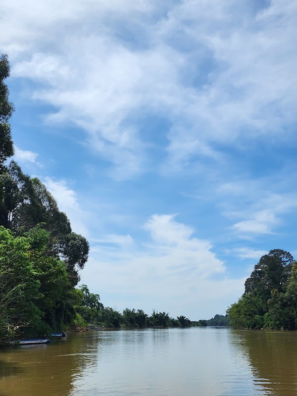 Nature's Haven: Cat Tien National Park - Cat Tien national park